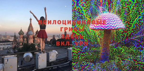 ПСИЛОЦИБИНОВЫЕ ГРИБЫ Краснотурьинск