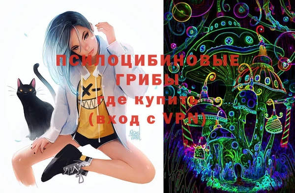 первитин Кукмор