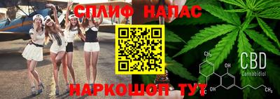 a pvp Кингисепп
