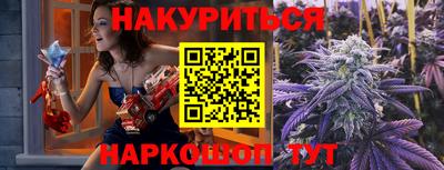 a pvp Кингисепп