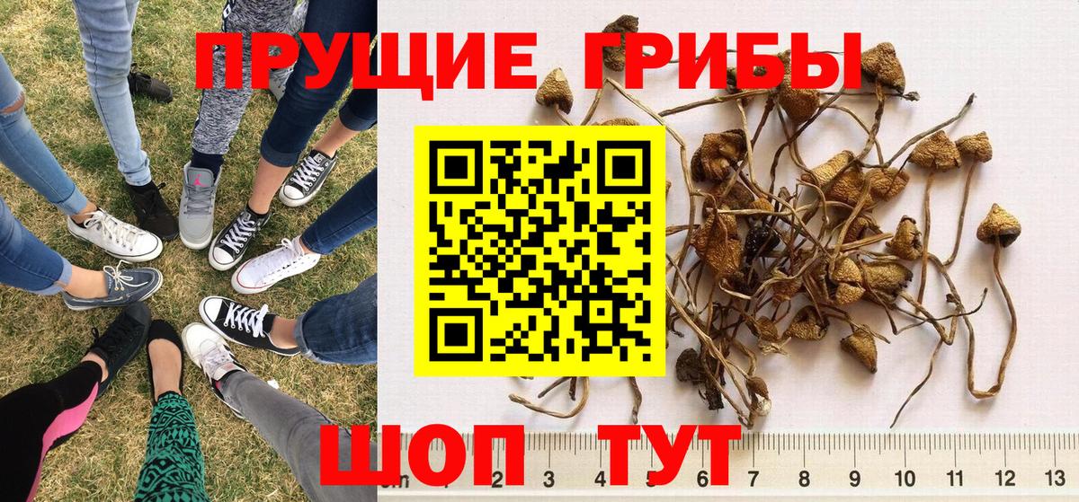 Галлюциногенные грибы ЛСД Чебаркуль