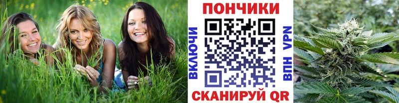 Бошки Шишки индика  где найти   Чебаркуль 